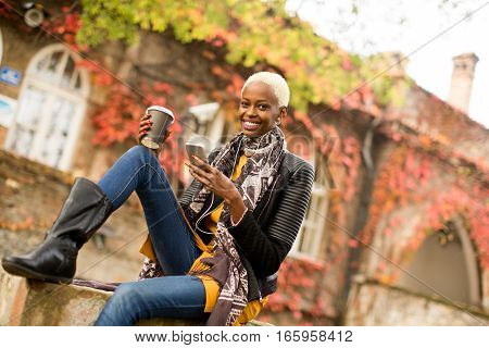 Atrractive African American Woman In Autumn Park