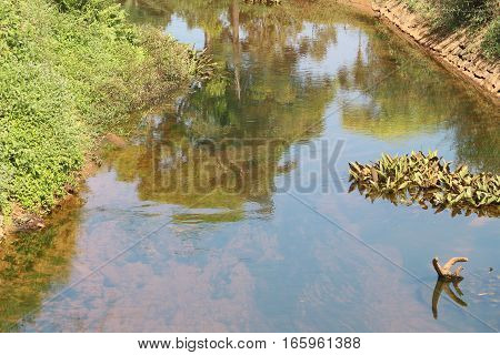 Clean looking canal with the shadow of the nature reflecting