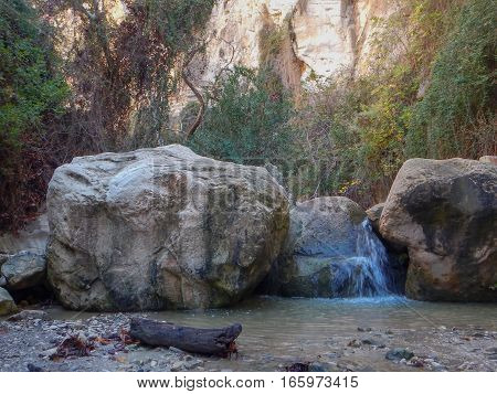 Avakas Gorge In Western Cyprus