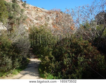 Avakas Gorge In Western Cyprus