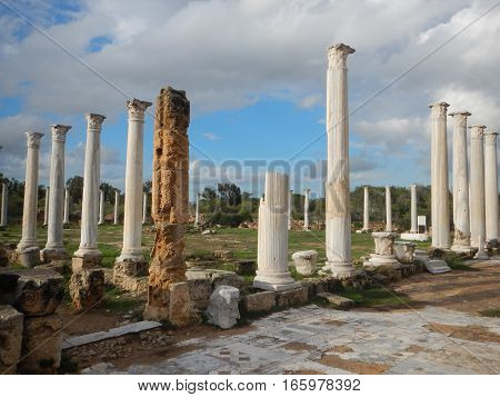 Ancient Greek Archeological Site Salamis