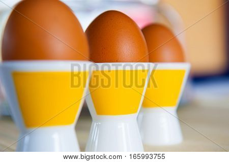 three brown eggs in specials egg-cup close-up