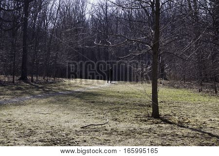 Ville Lasalle, Quebec, April 13, 2016 -- A lone photographer stands out among the bare trees and landscape in Angringnon Park, Lasalle, Quebec, on a bright sunny day at the beginning of April.