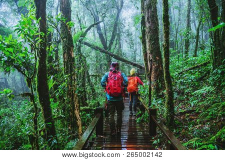 Lover Asian Man And Asian Women Travel Nature. Nature Study In The Rain Forest At Chiangmai In Thail