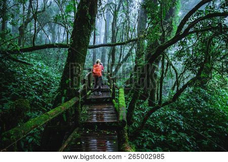 Asian Women Travel Nature. Take A Picture Nature Study In The Jungle At Chiangmai In Thailand.