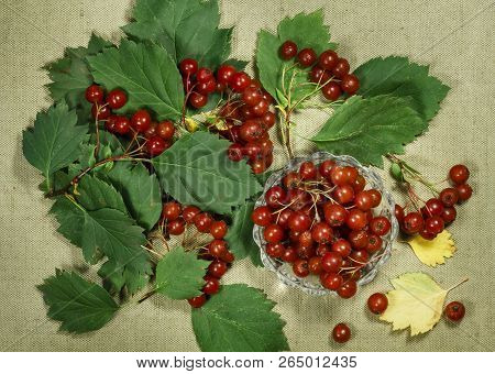 Hawthorn. Dry Herbs For Use In Alternative Medicine, Phytotherapy, Spa, Herbal Cosmetics. Preparing 