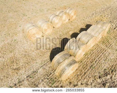 Bundles In Vaugrigneuse, Essonne, Ile De France, France