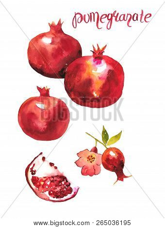 Watercolor Hand Drawn Illustration Of Pomegranate. Watercolor Fruit Set With Hole Pomegranate, Piece