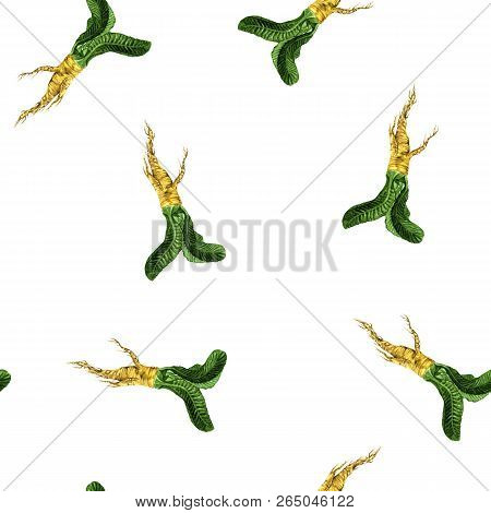 Watercolour Horseradish Natural Pattern For Textile, Banner, Branding, Craft