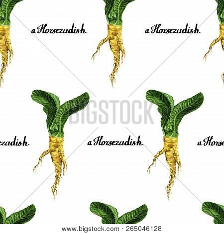 Watercolour Horseradish Type Natural Pattern For Textile, Banner, Branding, Craft