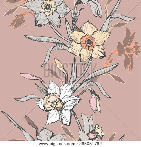 Floral Vertical Border With Hand Drawn Flowers Daffodils, Narcissus. Monochrome Floral Elements On L
