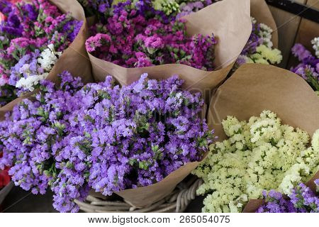 Variety Of Limonium Sinuatum Or Statice Salem Flowers In Blue, Lilac, Violet, Pink, White Colors Bou