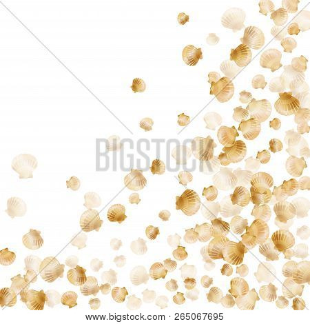 Gold Seashells Vector, Golden Pearl Bivalved Mollusks. Oceanic Scallop, Bivalve Pearl Shell, Marine 