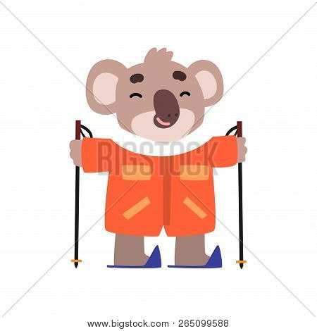 Coala Bear Skiing, Cute Animal Cartoon Character On Winter Vacation Vector Illustration On A White B
