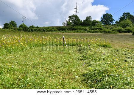 Mowing The Grass In The Village Traditional Way With Scythe