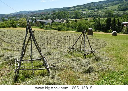 Storing Of Hay On The Meadow Traditionally With Forks And Rakes
