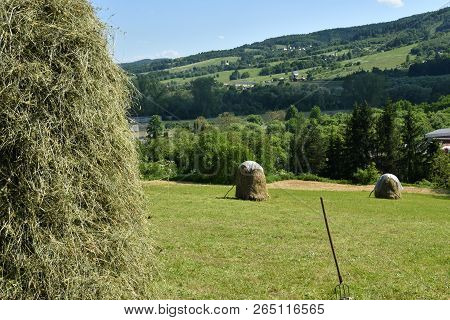 Hay Storage In The Meadow Traditionally With Forks And Rakes