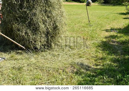 Hay Storage In The Meadow Traditionally With Forks And Rakes