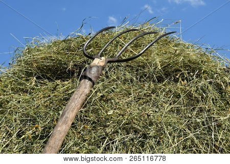 Hay Storage In The Meadow Traditionally With Rakes And Rakes