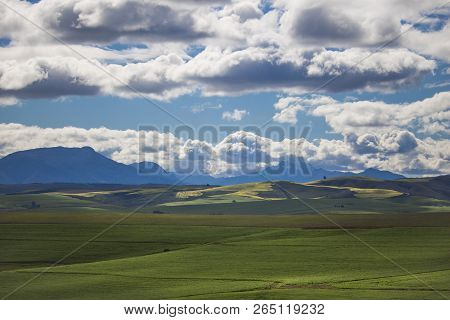 Rolling Green Agricultural Fields With Mountains In The Background - Caledon, Western Cape - South A