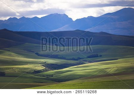 Rolling Green Agricultural Fields With Mountains In The Background - Caledon, Western Cape - South A