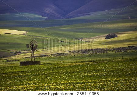 Rolling Green Agricultural Fields  With Windmill And Mountains In The Background - Caledon, Western 