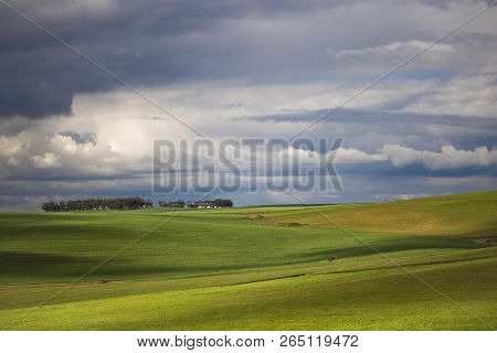 Rolling Green Agricultural Fields With Mountains In The Background - Caledon, Western Cape - South A