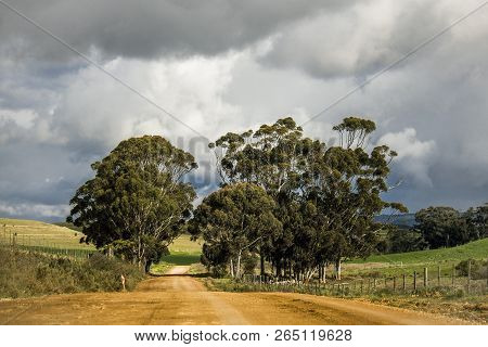 Dirt Road Through Agricultural Fields In Napier, Western Cape, South Africa.