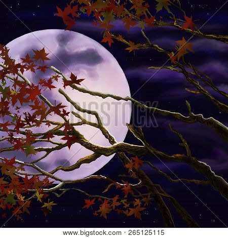 Branches With Autumn Foliage On The Background Of The Night Moon.full Moon And Autumn Leaves At Nigh