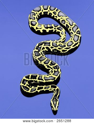 Serpent