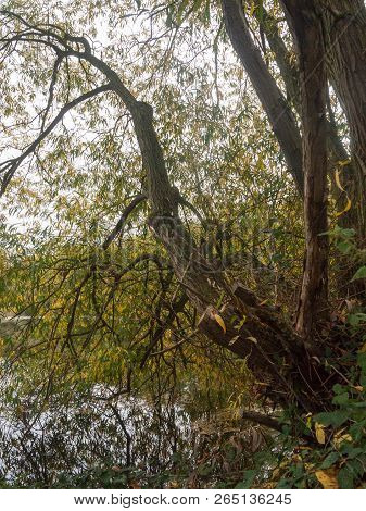 Outside Nature Lake Landscape Autumn Day Water Surface Beautiful Tree