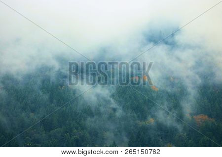 Rural Lush Mountains With An Evergreen Forest Surrounded By Low Clouds And Fog On A Rainy Day Taken 