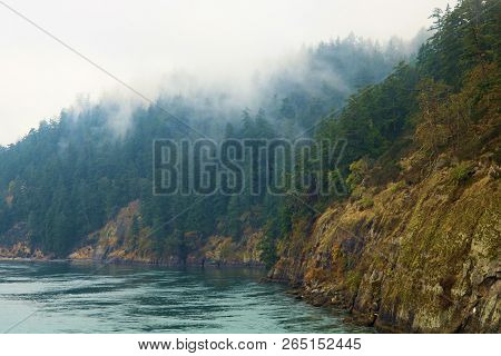 Rugged Bluffs With Lush Pine Forests Inundated With Fog And Clouds Surrounded By The Pacific Ocean D
