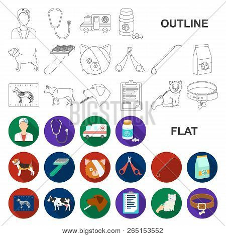 Veterinary Clinic Flat Icons In Set Collection For Design. Treatment Of A Pet Vector Symbol Stock We