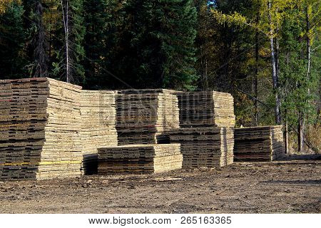Piles Of Swamp Mats Used To Build Roads In Muskeg