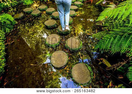 The Japanese Themed Tropical Garden Outside Of Funchal On The Island Of Maderia - Portugal