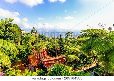 The Botanical Garden - Maderia