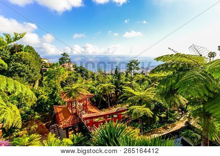 The Botanical Garden - Maderia