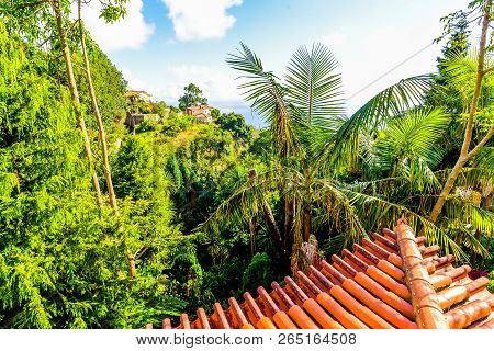 The Botanical Garden - Maderia