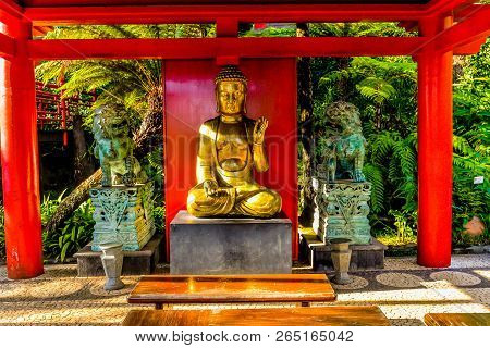 The Botanical Garden - Maderia