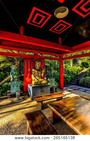 The Botanical Garden - Maderia