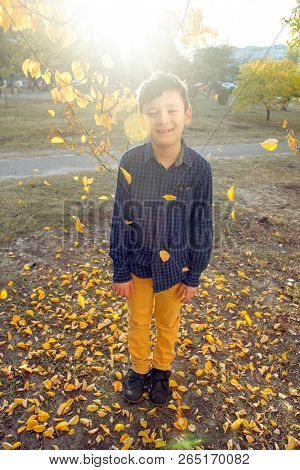 Happy boy have fun in the autumn park, throw up leaves, smie and laugh