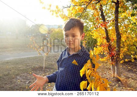 Happy boy have fun in the autumn park, throw up leaves, smie and laugh