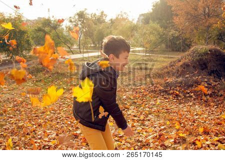 Happy boy have fun in the autumn park, throw up leaves, smie and laugh