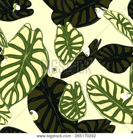 Seamless Tropical Pattern. Trendy Background With Rain Forest Plants. Vector Leaf Of Alocasia. Arace