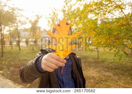Happy boy have fun in the autumn park, throw up leaves, smie and laugh