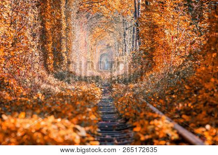 love tunnel in autumn