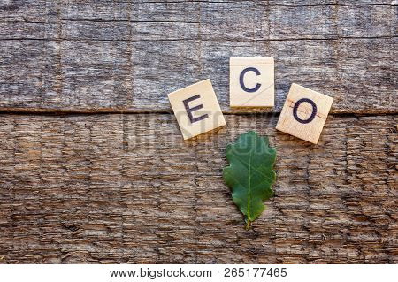 Inscription Eco Letters Word And Oak Leaf On Old Rustic Wooden Backdrop. Eco Village Abstract Enviro