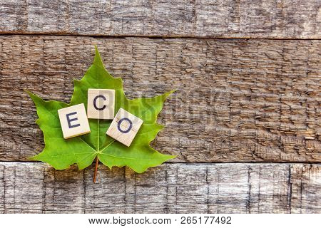 Inscription Eco Letters Word And Maple Leaf On Old Rustic Wooden Backdrop. Eco Village Abstract Envi