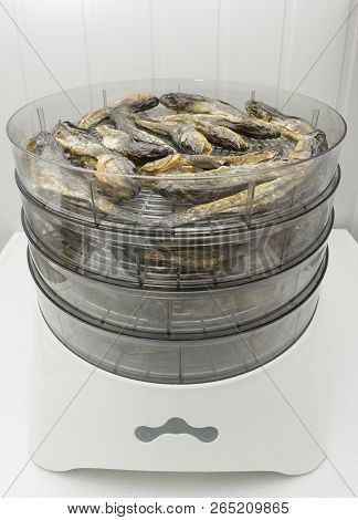 Dried Salted Fish.marine Goby In Electric Drier At Home